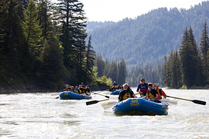 Whitewater Rafting in Jackson Hole : Family Standard Raft - Guided Adventure in Wyoming