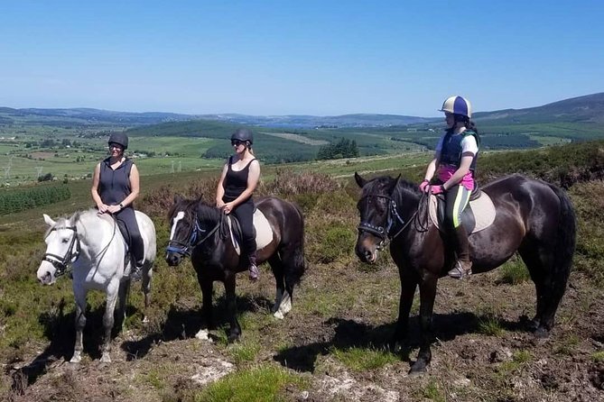 Wicklow Mountains Horse Trekking - Customer Reviews