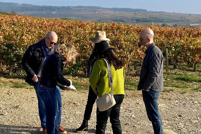 Wine Experience With Tasting in Burgundy - Accessibility and Participation