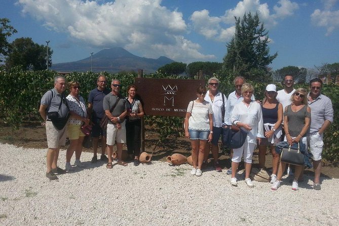 Wine Tasting and Excursion to the Mt. Vesuvius From Pompeii - Group Size Requirements