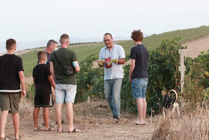 Wine Tour in the Historic Baglio Florio Adamo With Lunch - Tour Inclusions