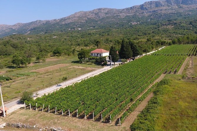 Wine Tour Konavle - Hassle-free Wine Tour Experience