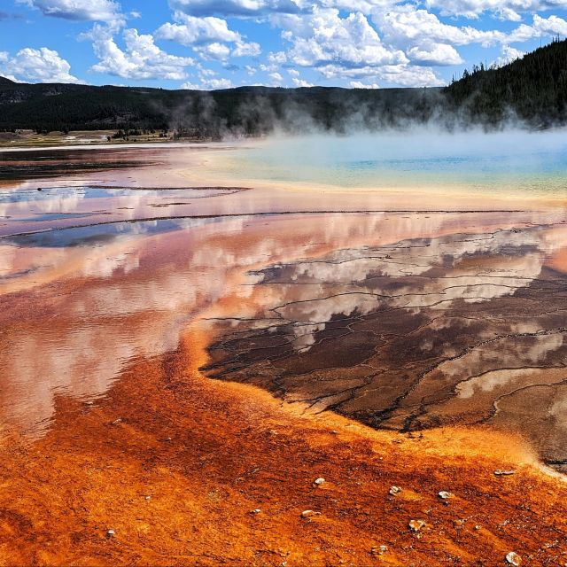 Yellowstone, MT: Lower Loop Private Tour - Included in the Tour