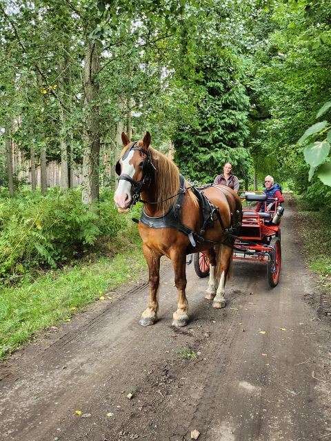 York: Private Horse-Drawn Carriage Ride and Afternoon Tea - Enjoying the Afternoon Tea