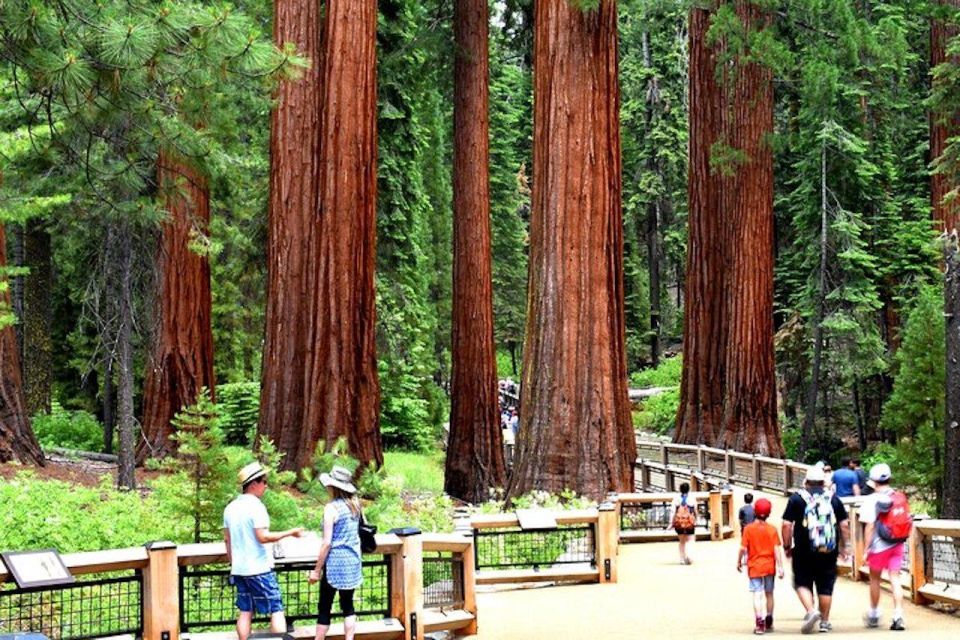 Yosemite: Full-Day Tour With Lunch and Hotel Pick-Up - Pickup and Parking