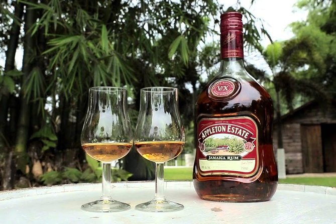 YS Falls & Appleton Rum Estate Combo From Montego Bay - Montego Bay Highlights