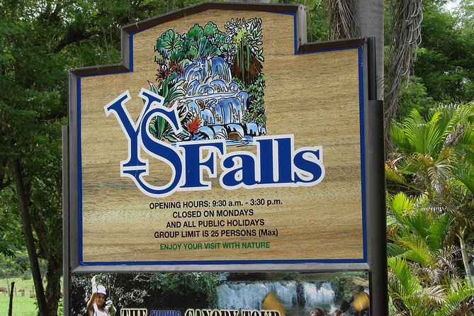 YS Falls, Black River Safari, and Floyds Pelican Bar Day-Trip (Transportation) - Accessibility Considerations