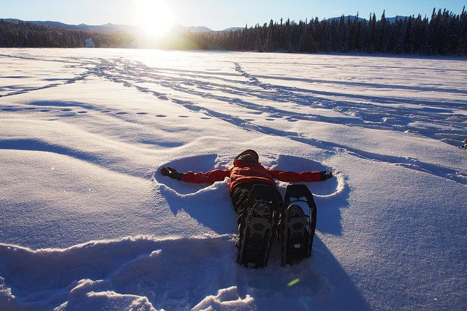 Yukon Snowshoeing Adventure | Half Day - Preparing for the Tour