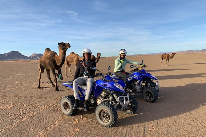 Zagora Quad - Quad Excursions - Highlights