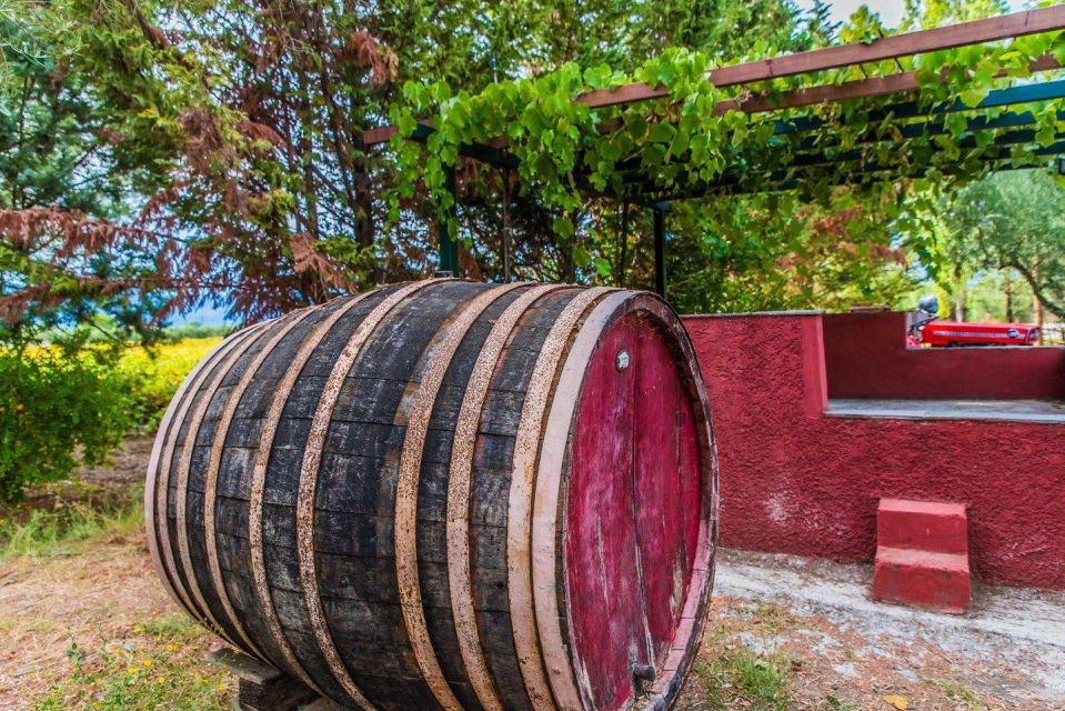 Zakynthos: Private Tour With Wine & Olive Oil Tasting - Grampsas Winery