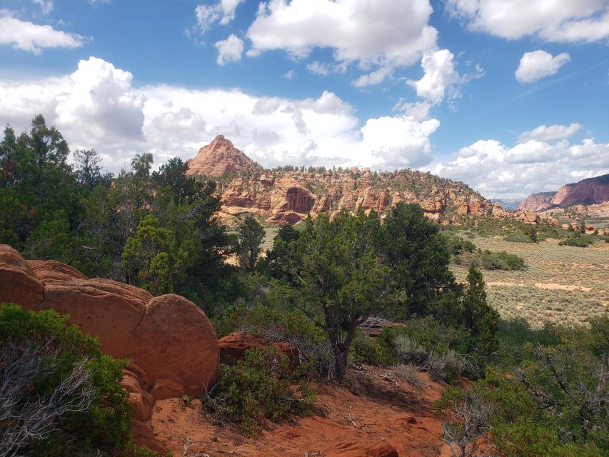 Zion National Park - Kolob Terrace: 1/2 Day Sightseeing Tour - Reviews