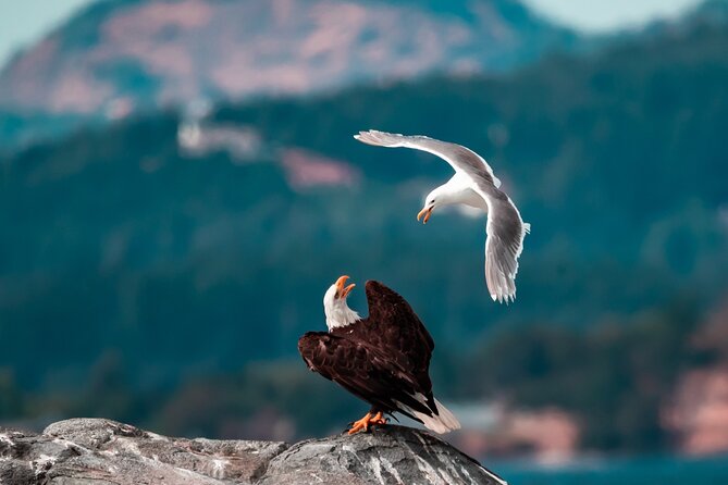 Zodiac Marine Wildlife Excursion From Victoria - Included Equipment and Amenities