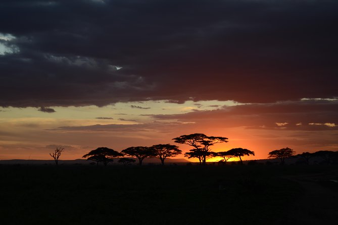 5days Tanzania Safari Lodge and Camping Serengeti, Tarangire & Ngorongoro Crater - Key Points