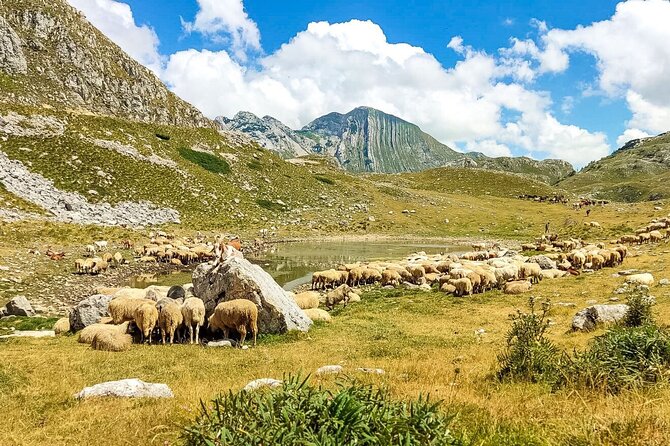 1-Day Montenegro Hiking Tour to Durmitor National Park - Exhilarating Hiking Experience