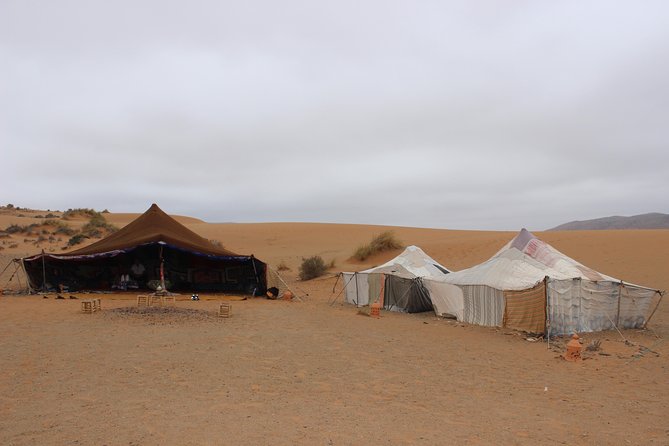 1 Night in Desert From Agadir - Traveler Information