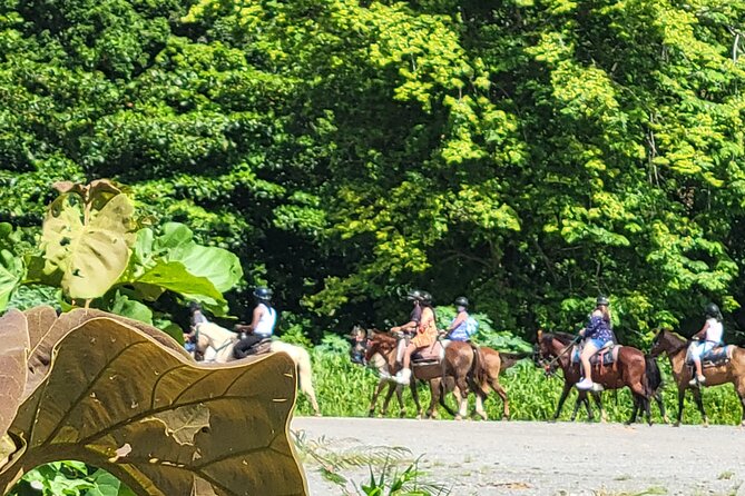 1 or 2 Hour Puerto Rico Horseback Ride Experience! - Booking and Availability