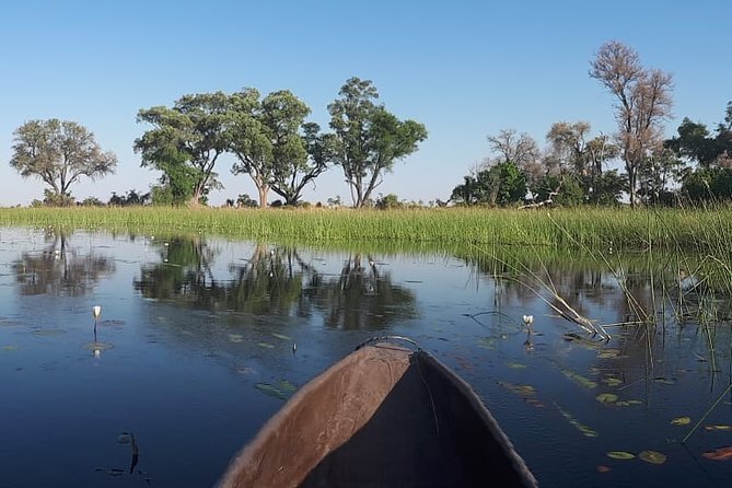 11Day WILDERNESS TRAIL:Okavango,Moremi&Chobe -WildCamping Safari +Victoria Falls - Safari Activities