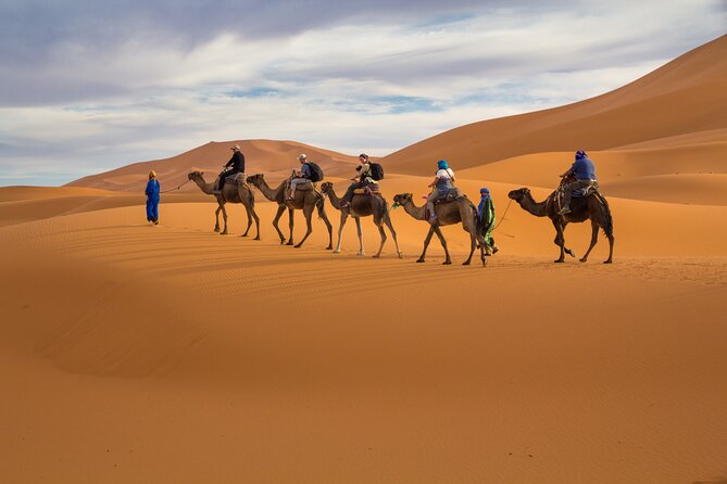 15 Days Morocco Private Grand Tour From North To South Starting From Casablanca - Guest Reviews and Ratings