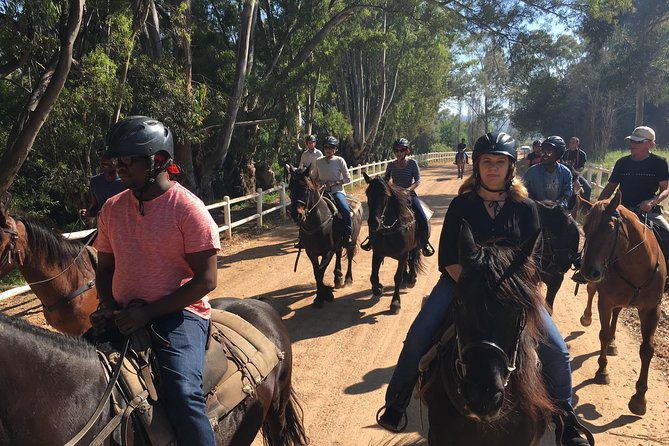 1h30m – Horse Trail - Reviews and Ratings