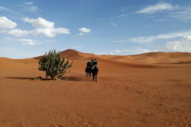 2 Days Fes Desert Trip Overnight Erg Chebbi End up Fes/Marrakech - What to Bring