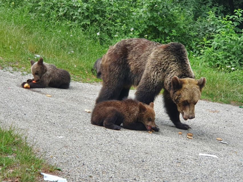 2 Days Transfagarasan Highway Private Tour - Day 2 Discoveries