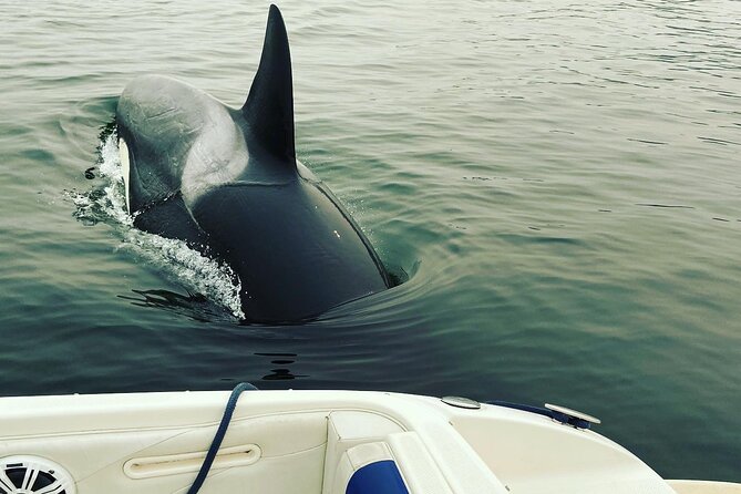 2 Hour Chartered Boat Tour From Deep Cove North Vancouver - Duration and Tour Route