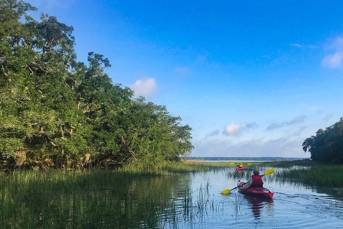 2-Hour Hilton Head Guided Kayak Nature Tour - Educational Content