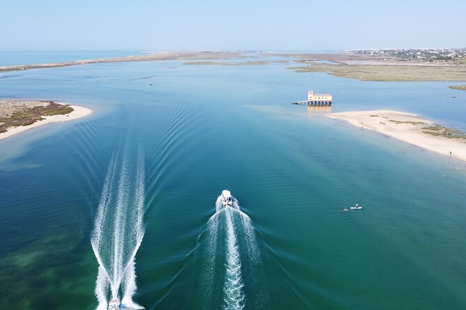 2 Hours Boat Tour in Ria Formosa - Professional Skipper Included