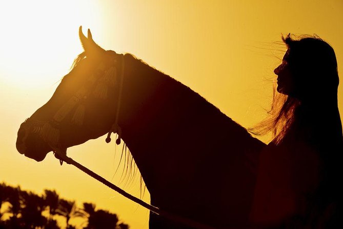 2 Hours Horse Riding 1H on the Sea and 1H in Desert From Hurghada - Horse Riding Experience