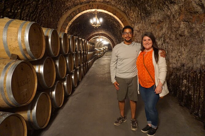 2 Wineries Tasting & Quaint Villages 6 Hours Wine Tour in Madrid - Quaint Village Exploration