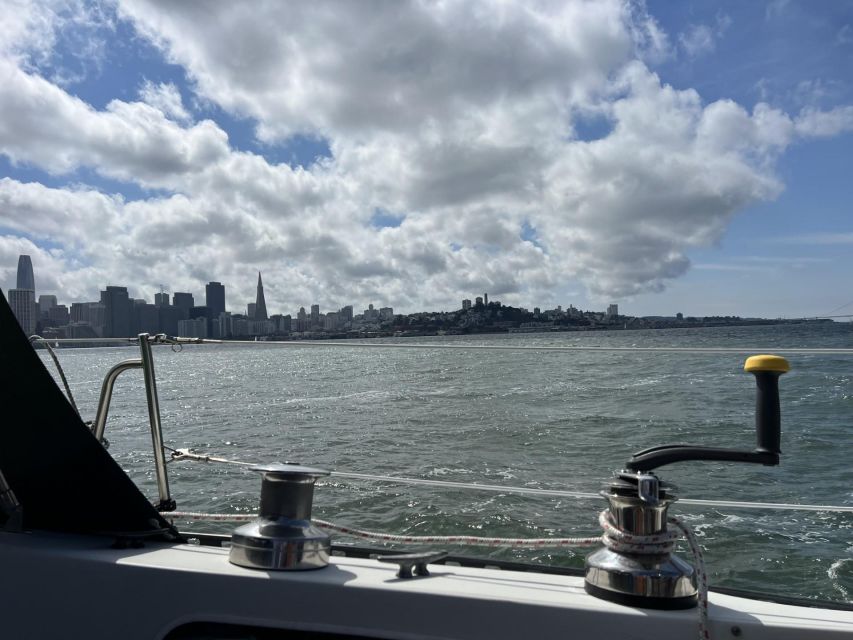 2hr - INTERACTIVE Sailing Experience on San Francisco Bay - Encountering Local Wildlife