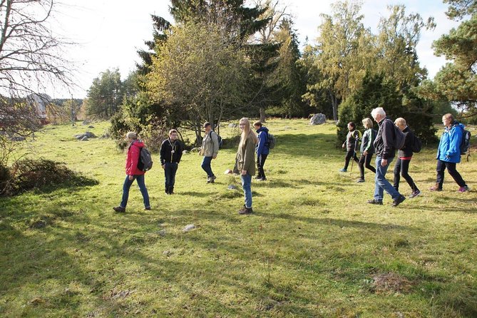 3-4h Viking History Short Day Tour From Stockholm - Viking Parliament Site