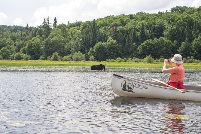 3-Day Algonquin Park Canoe Trip - Campfire Experience