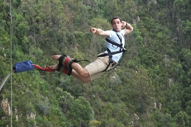 3 Day Big 5 and Bungee Tour - Garden Route Small Group Tour From Cape Town - Scenic Drives