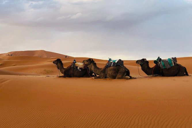 3 Days 2 Nights: Desert Tour From Fes to Marrakech - Inclusions