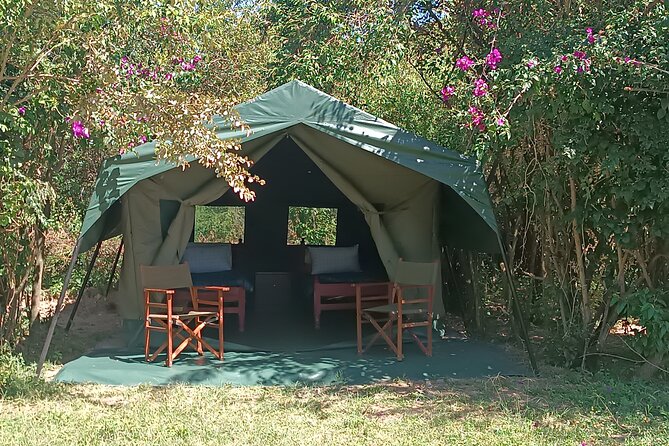 3 Days Masai Mara Camping Safari - Safari Highlights