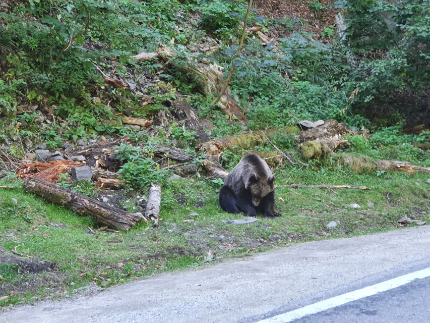 3 Days Private Guided Tour Including Transfagarasan Highway - Transfagarasan Highway