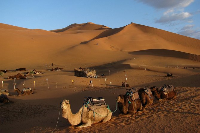 3 Days Tour From Marrakech to Merzouga Desert - Experience Dades Valley