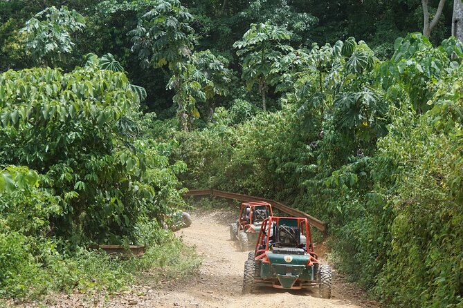 3-Hour Awesome Dune Buggy Excursion in Punta Cana - Preparing for the Excursion