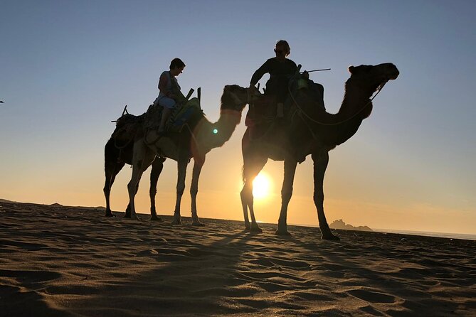 3-Hour Camel Ride at Sunset - Comfort and Safety Considerations