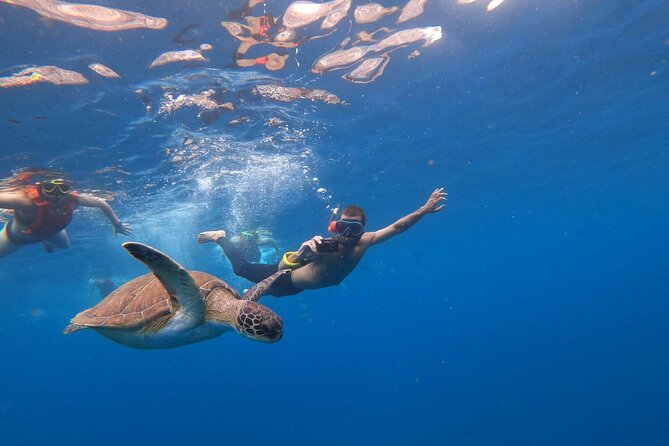 3 Hour Kayak and Snorkeling Experience in Tenerife - Additional Tips