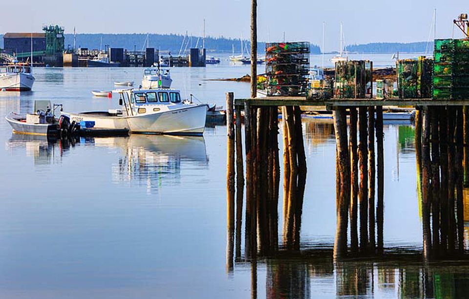 3 Hour Private Tour: Insiders Tour of Acadia National Park - Pickup and Drop-off