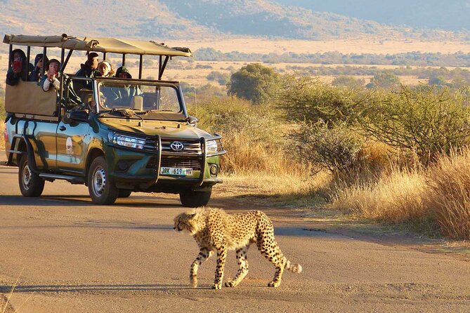 3-Hour Scheduled Safari Game Drive in Pilanesberg National Park - Vehicle and Guide