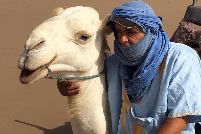 3 Hours Camel Ride in Essaouira, Beach and Dunes - Visiting Ruins and Castle