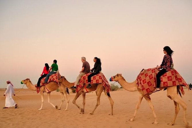 30 Mins Quad Bike, Desert Safari With BBQ Dinner and Camel Ride in Dubai - Dining and Refreshments