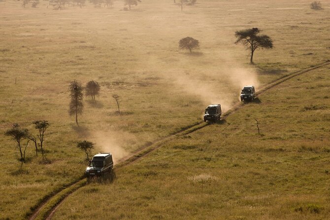 4 Day Great Migration Safari Serengeti & Ngorongoro Crater - Ngorongoro Crater