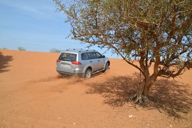 4 WD Agadir Small Desert Discovery Including Lunch - Accessibility Details