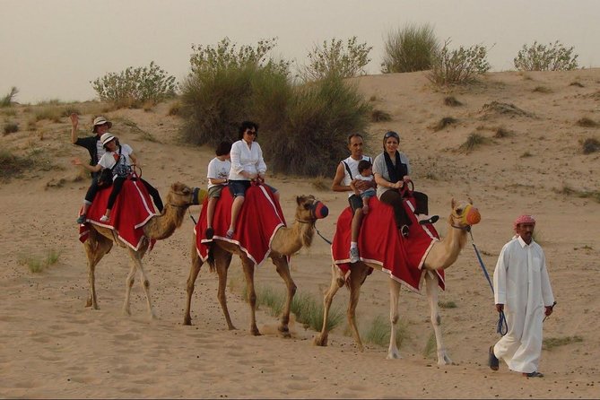 4X4 Dubai Desert Safari With BBQ Dinner, Camels & Live Show - Evening Entertainment Shows