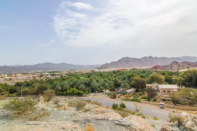 4x4 Hatta Safari to Fossil Rock & Honey Bee Garden Visit With Breakfast - Hatta Water Dam