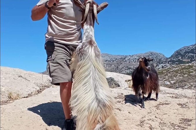 4x4 Safari Tour Southern Crete Tripitis Gorge - Lunch Included